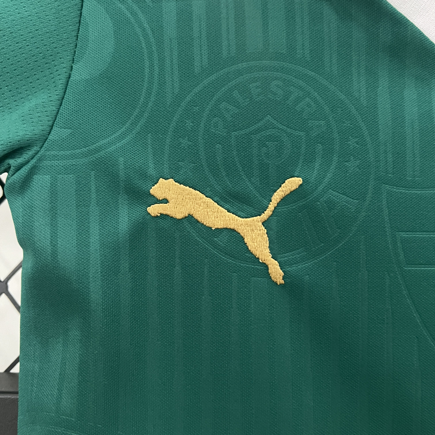Palmeiras Equipamento Principal 2024/25 Kit-Criança 4