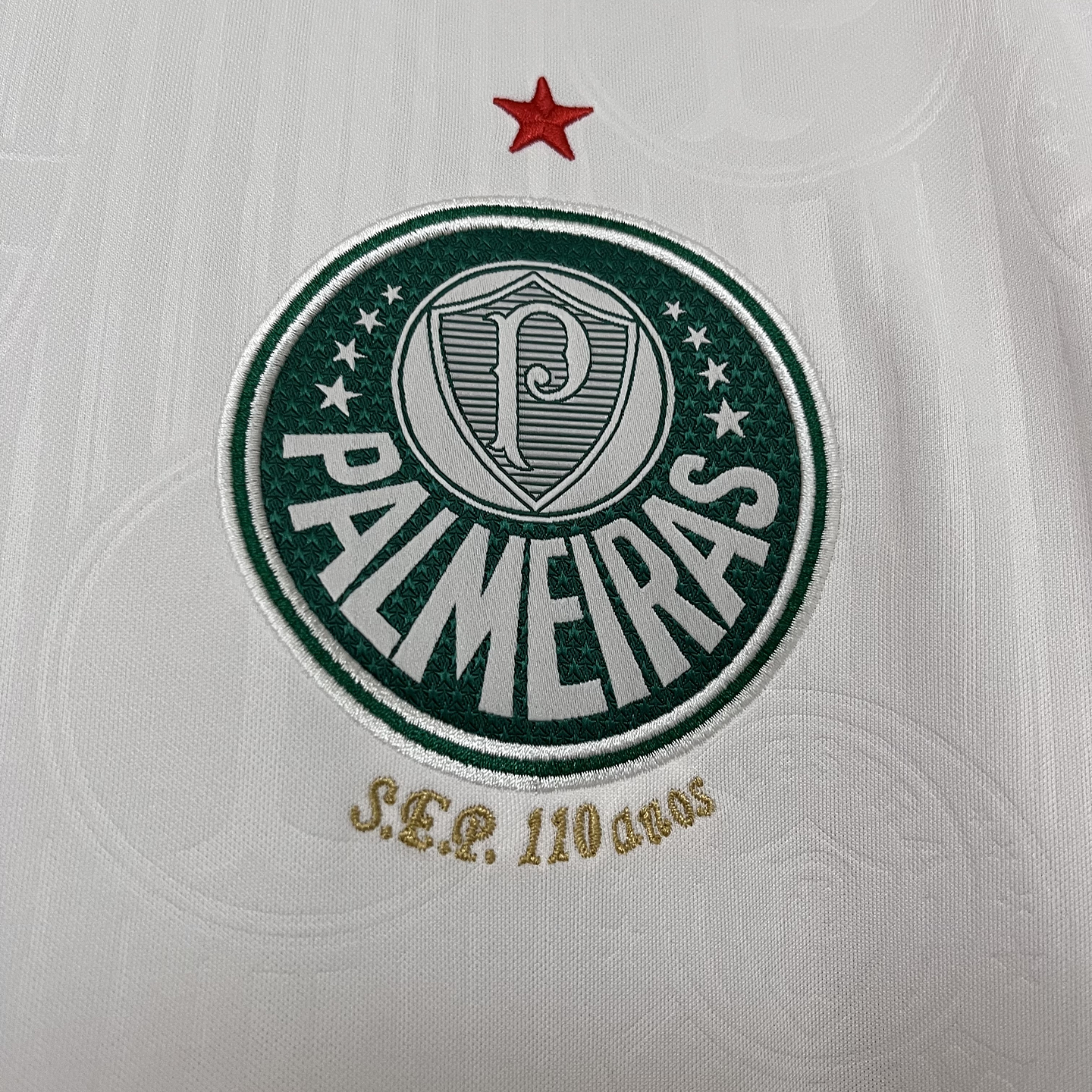Palmeiras Equipamento Secundário 2024/25 4