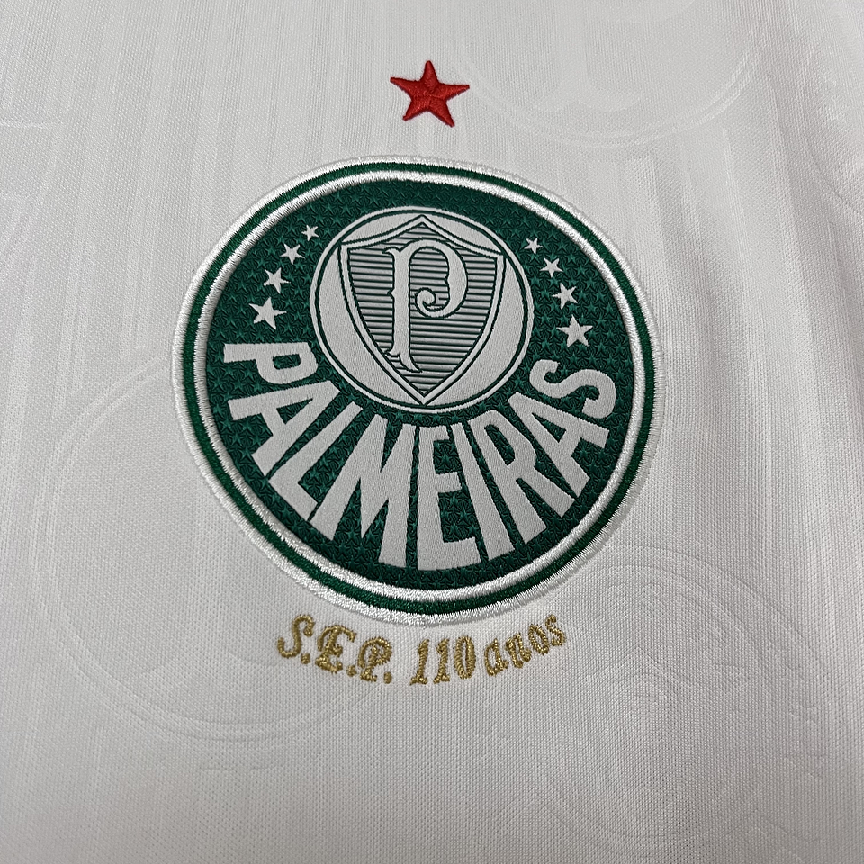 Palmeiras Equipamento Secundário 2024/25 4