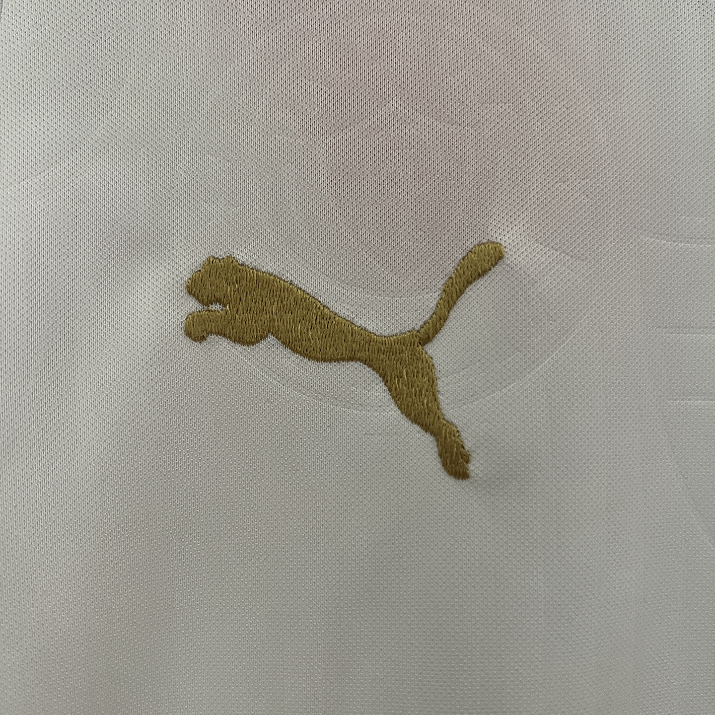 Palmeiras Equipamento Secundário 2024/25 Kit Criança 4