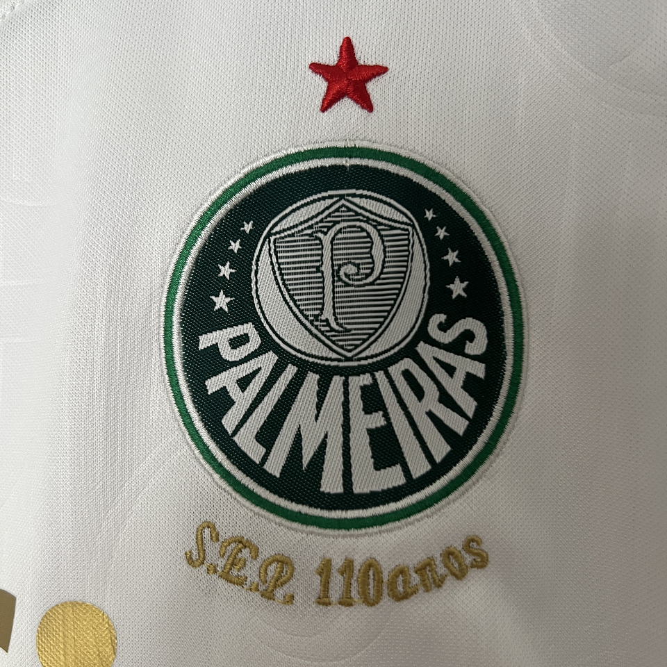 Palmeiras Equipamento Secundário 2024/25 Kit Criança 3