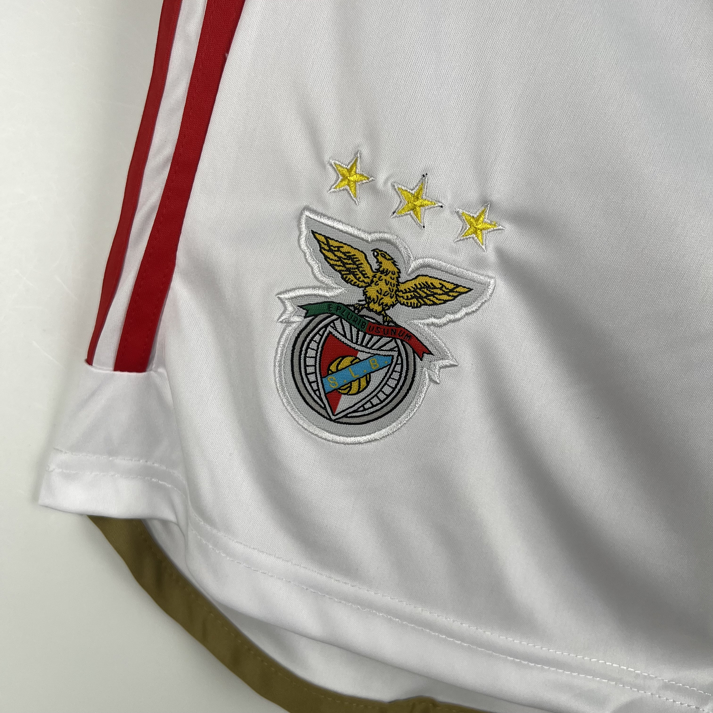 Benfica Calções Equipamento Principal 2023/24 3