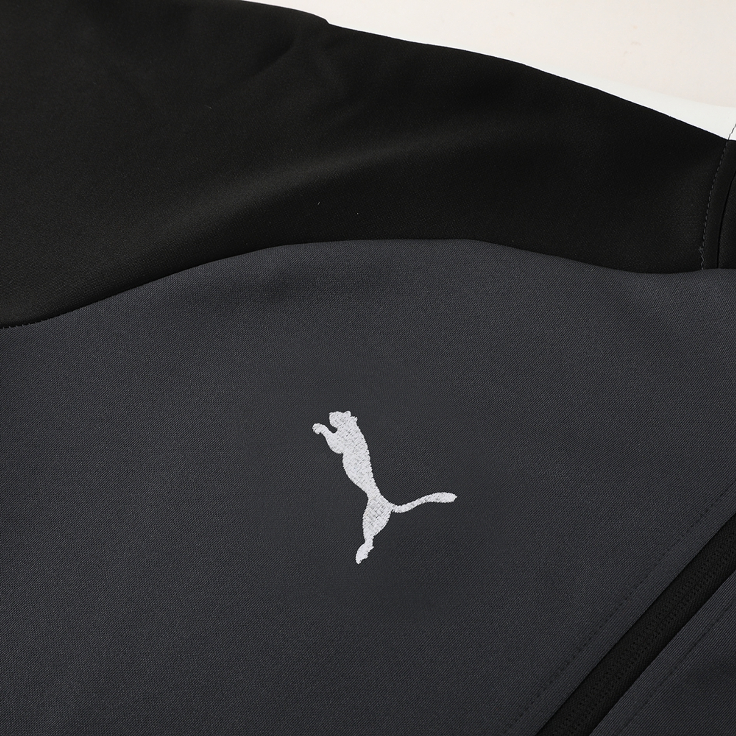 Puma Fato de Treino Casaco 2