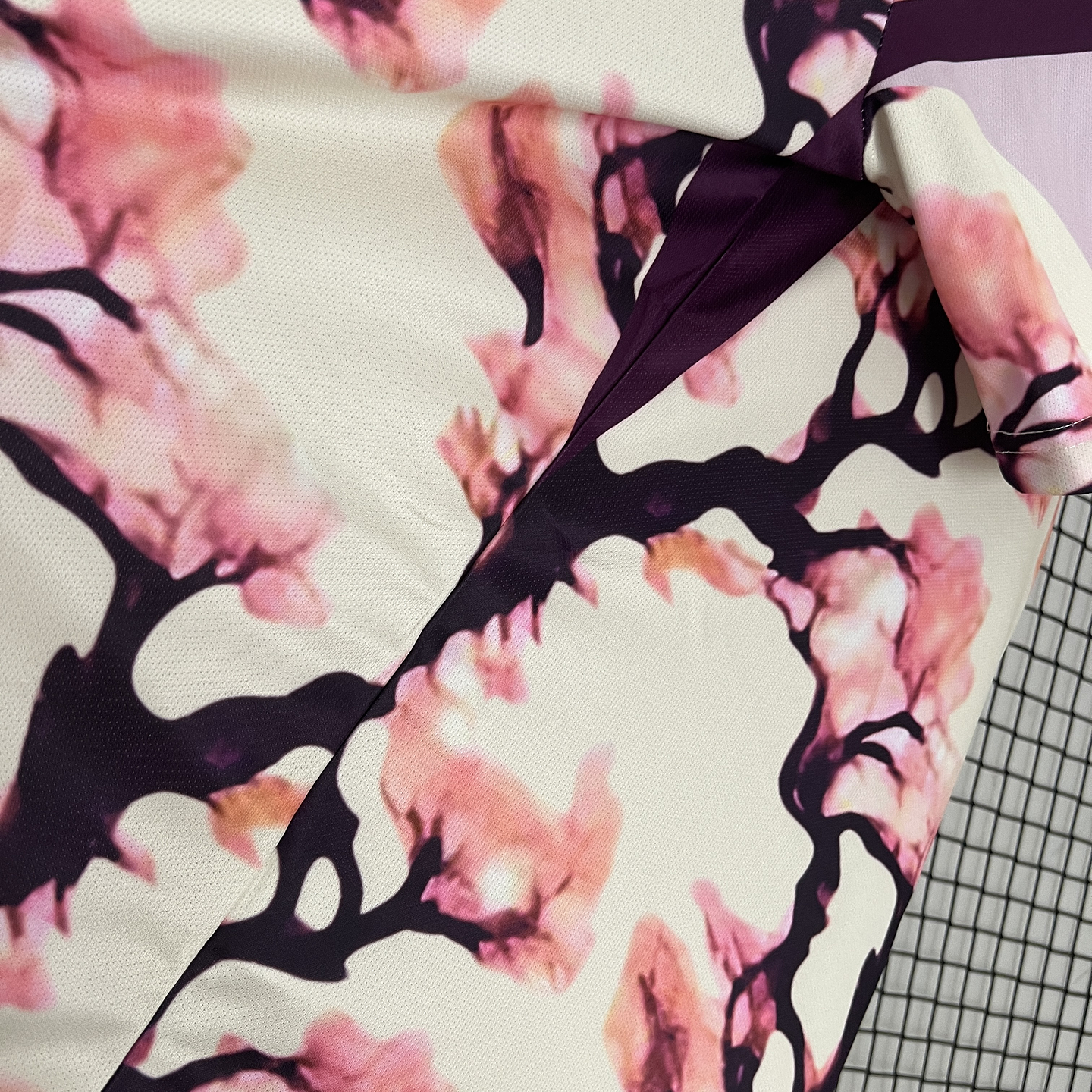 Japão Edição Especial 2024 7