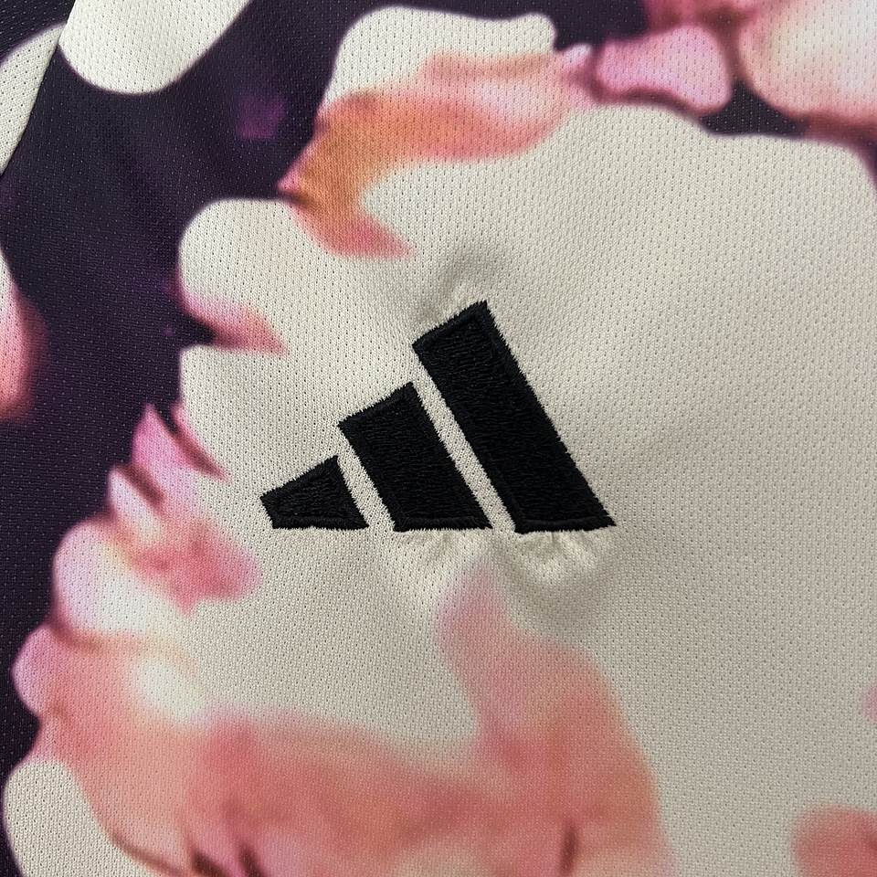 Japão Edição Especial 2024 4