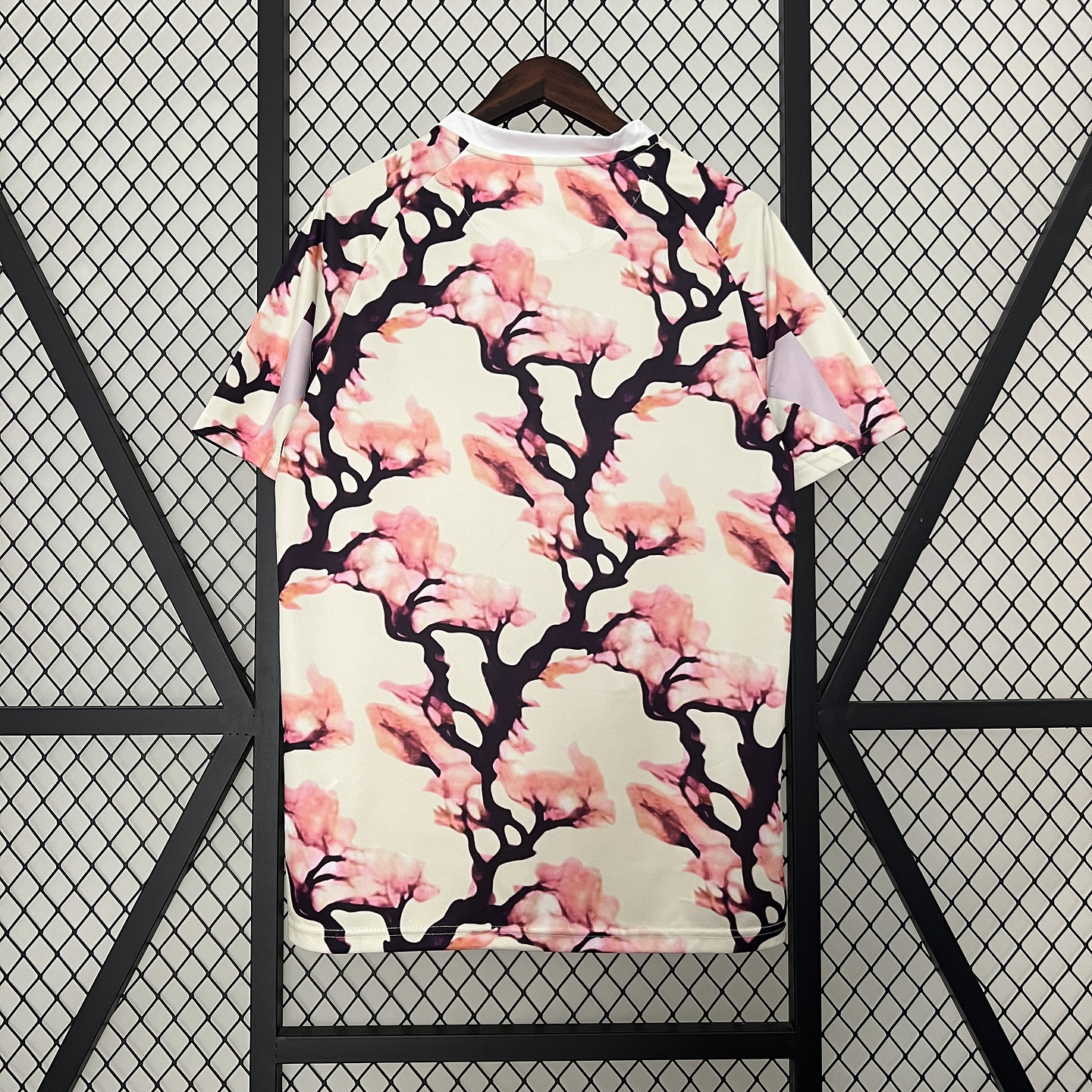 Japão Edição Especial 2024 2