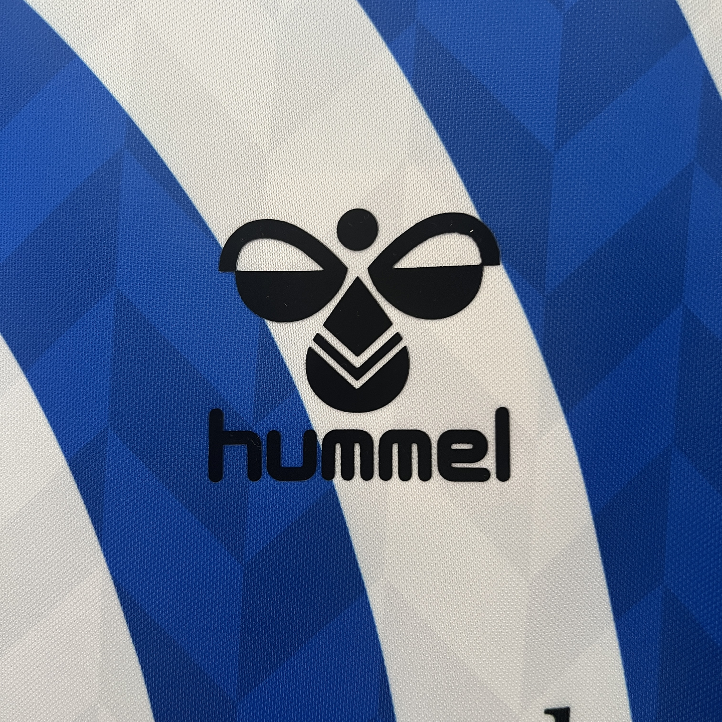 Equipamento Principal Málaga 2024/25 Edição Especial 4