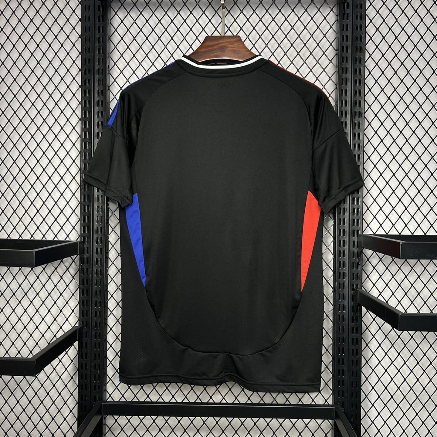 Lyon Equipamento Alternativo 2024/25 2