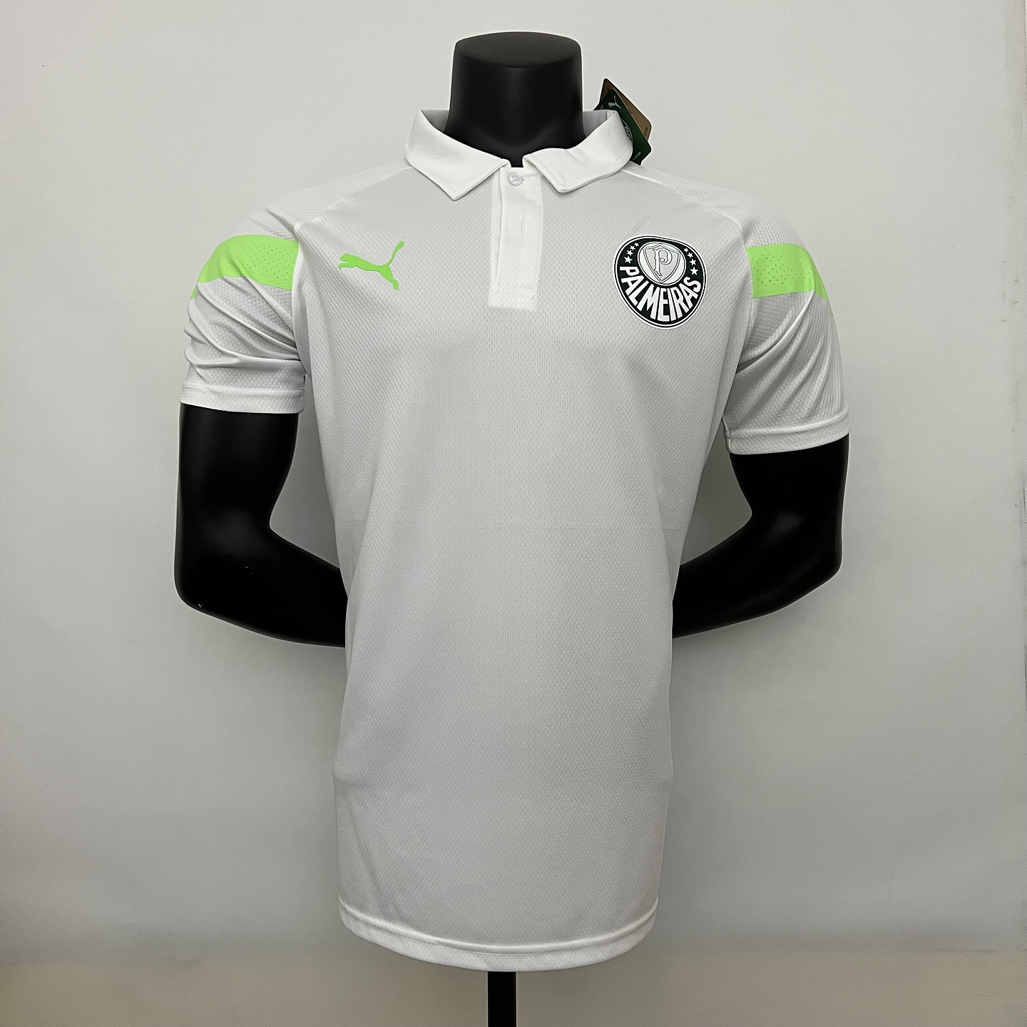 Palmeiras Polo 1