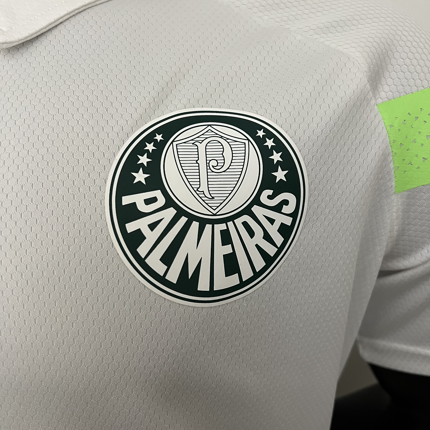 Palmeiras Polo 3