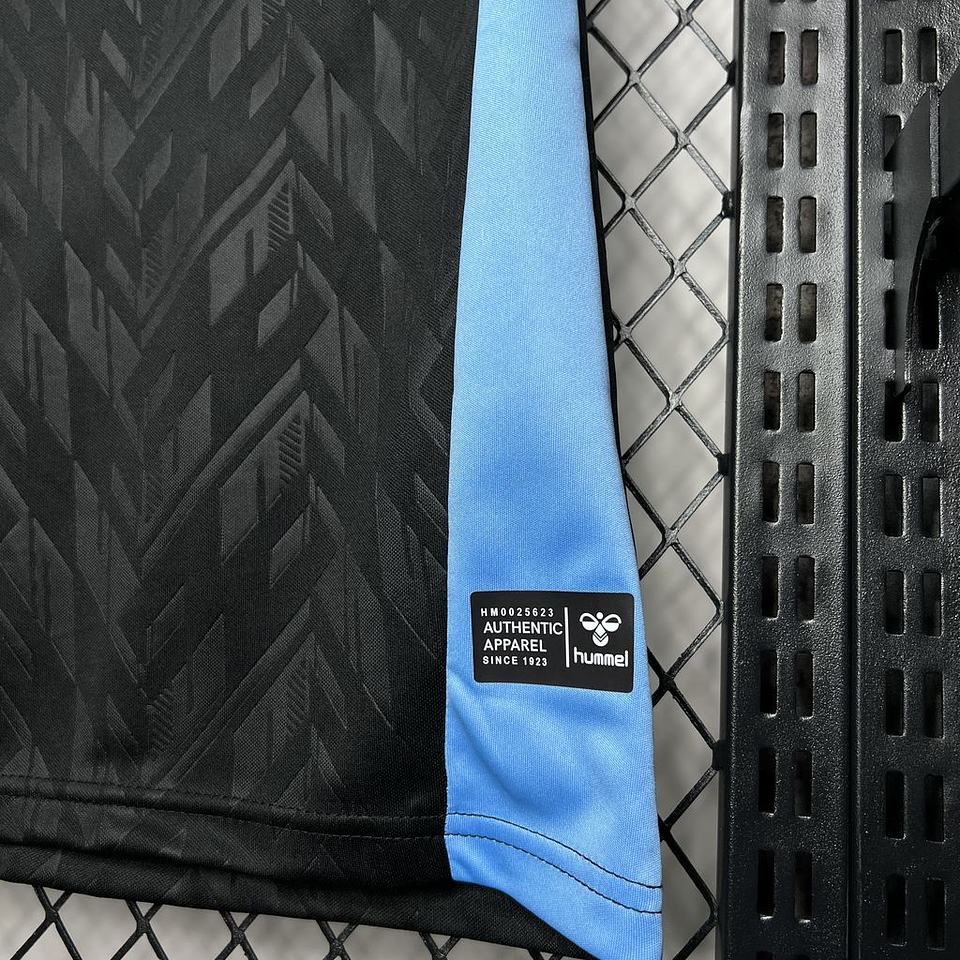 Werder Bremen Equipamento Alternativo 2024/25 6