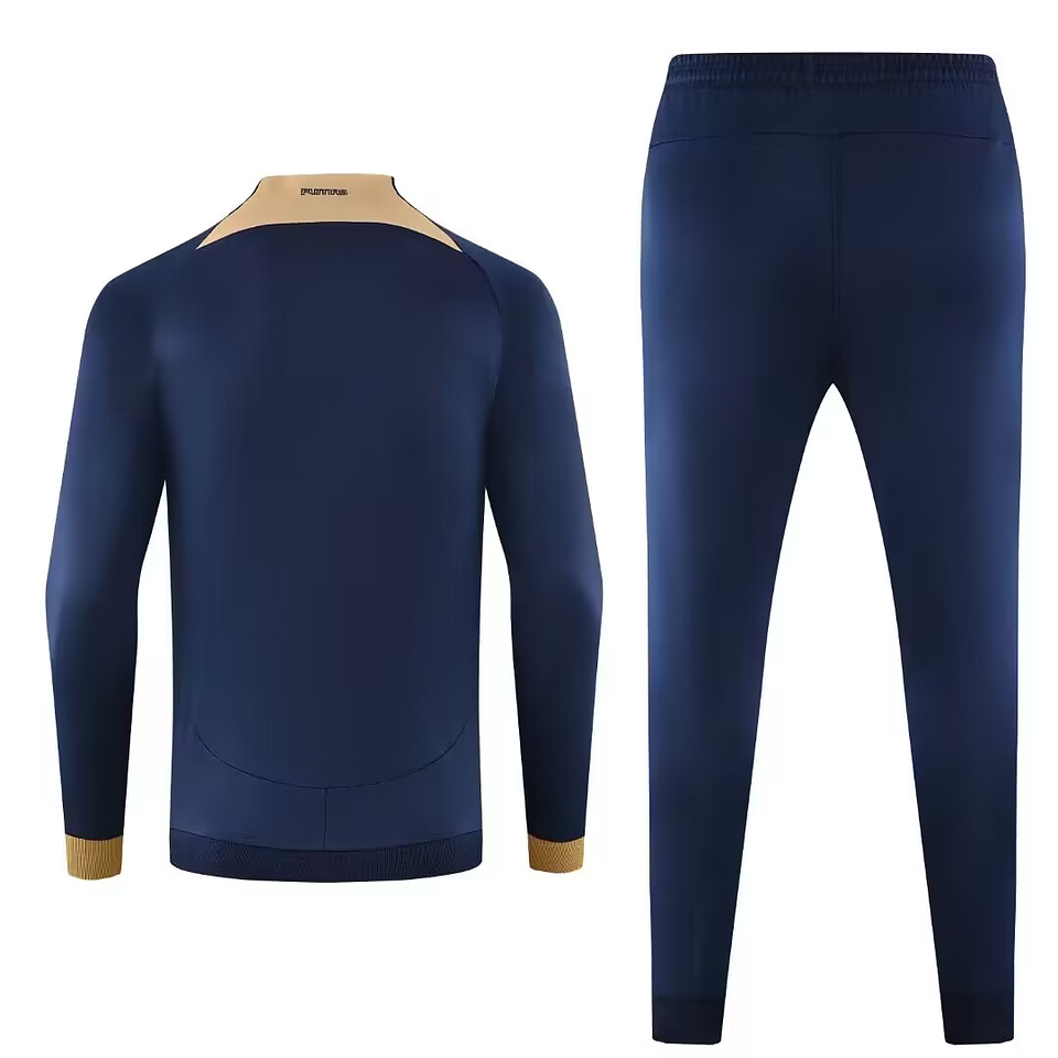 Puma Fato de Treino Casaco 2024/25 2