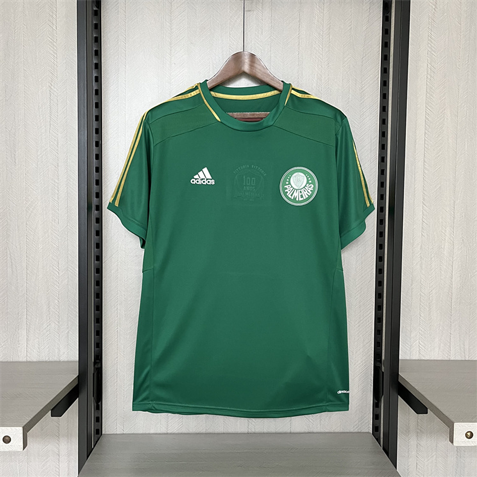 Palmeiras 2014 Centenário 1