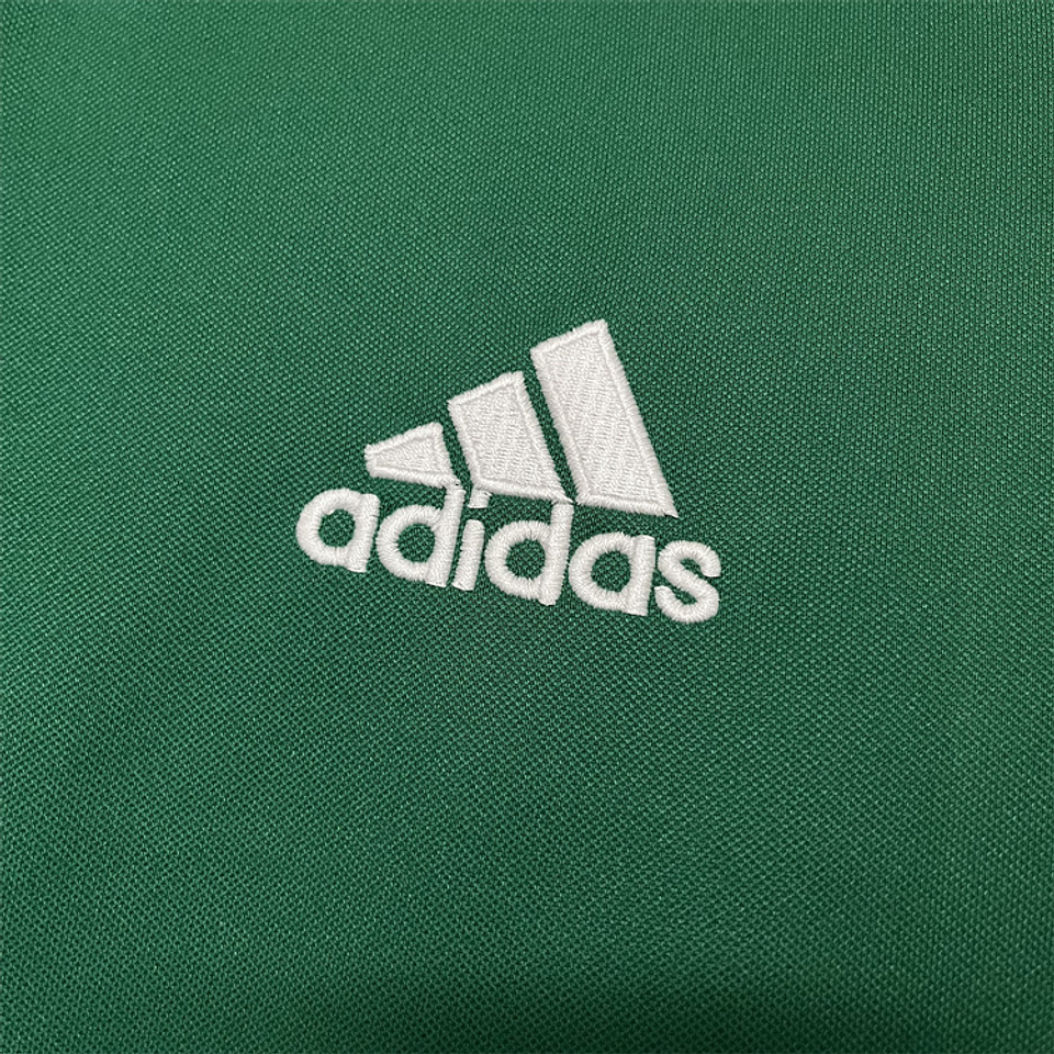 Palmeiras 2014 Centenário 5