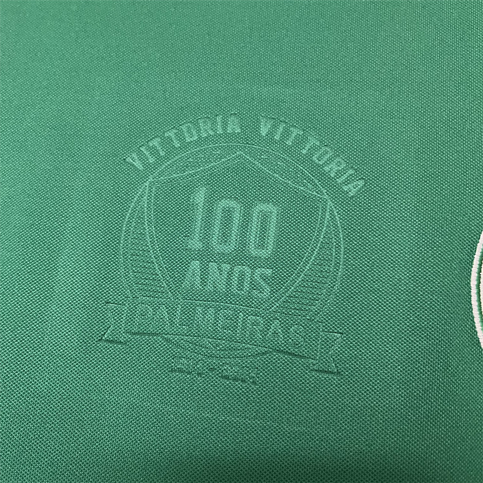 Palmeiras 2014 Centenário 4