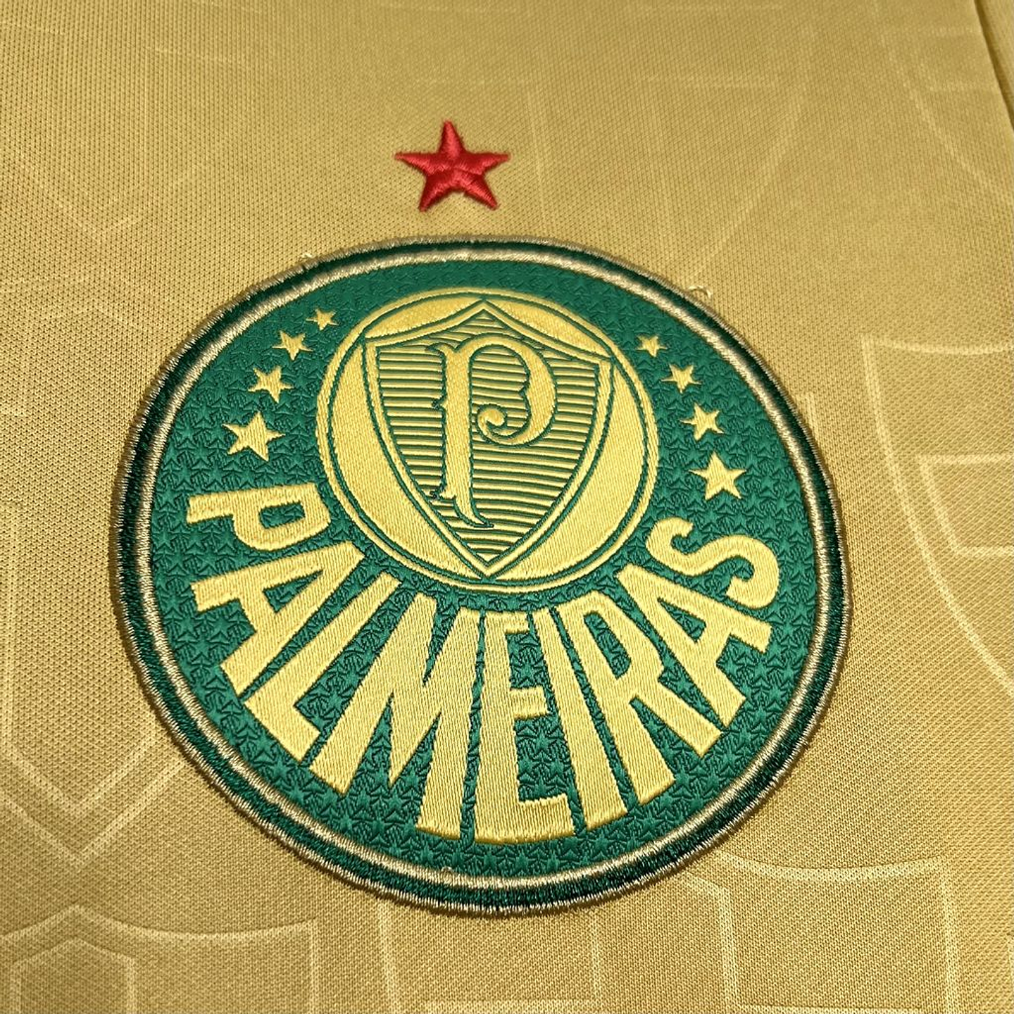 Palmeiras Terceiro Equipamento 2024/25 3