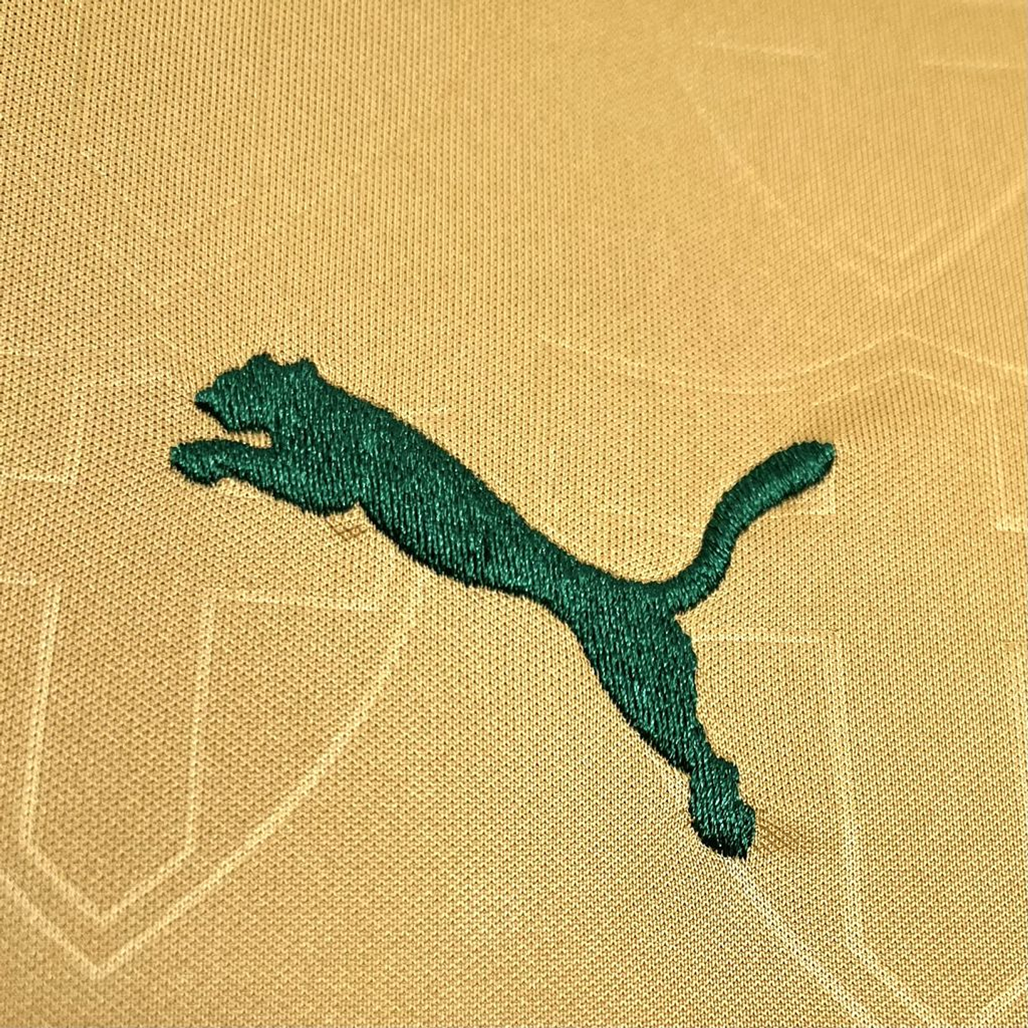 Palmeiras Terceiro Equipamento 2024/25 4