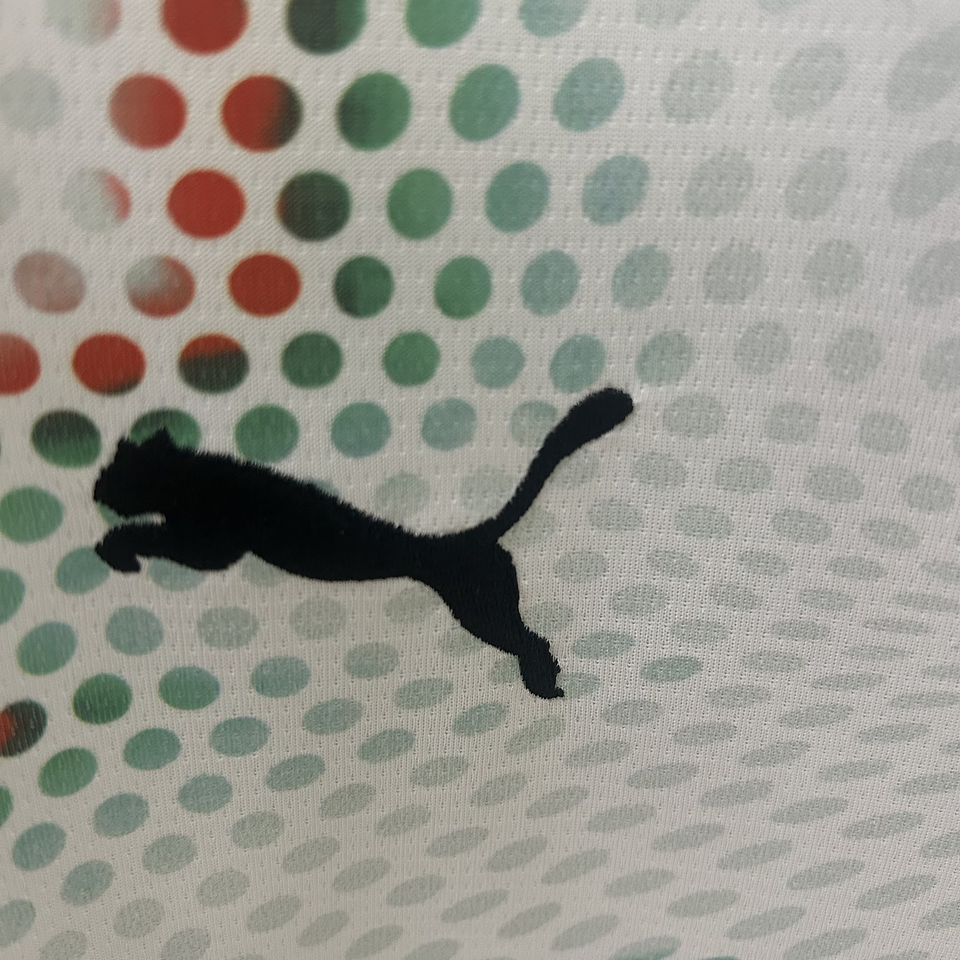 Portugal Equipamento Secundário Manga Comprida 2025/26 4