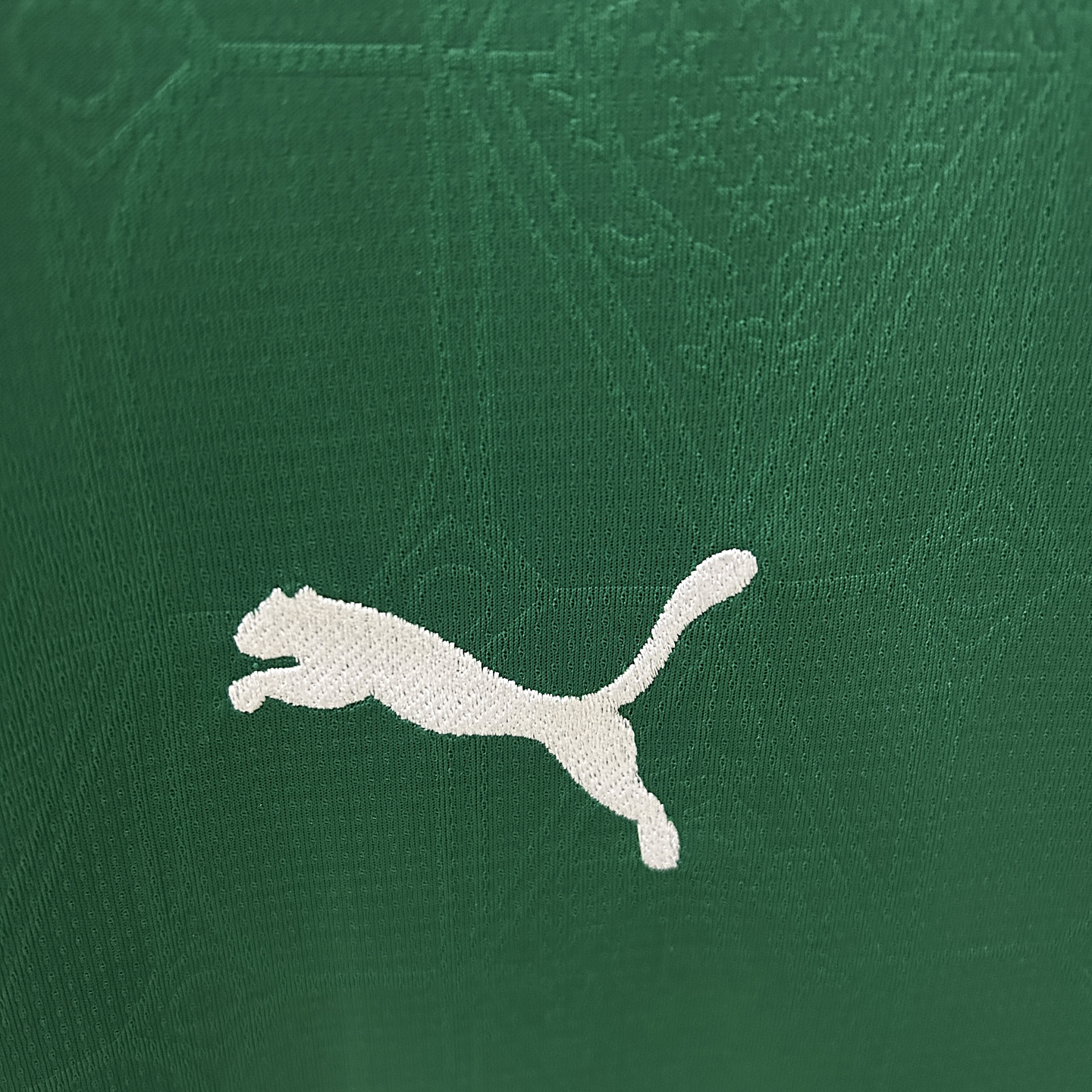 Palmeiras Equipamento Principal 2025/26 4