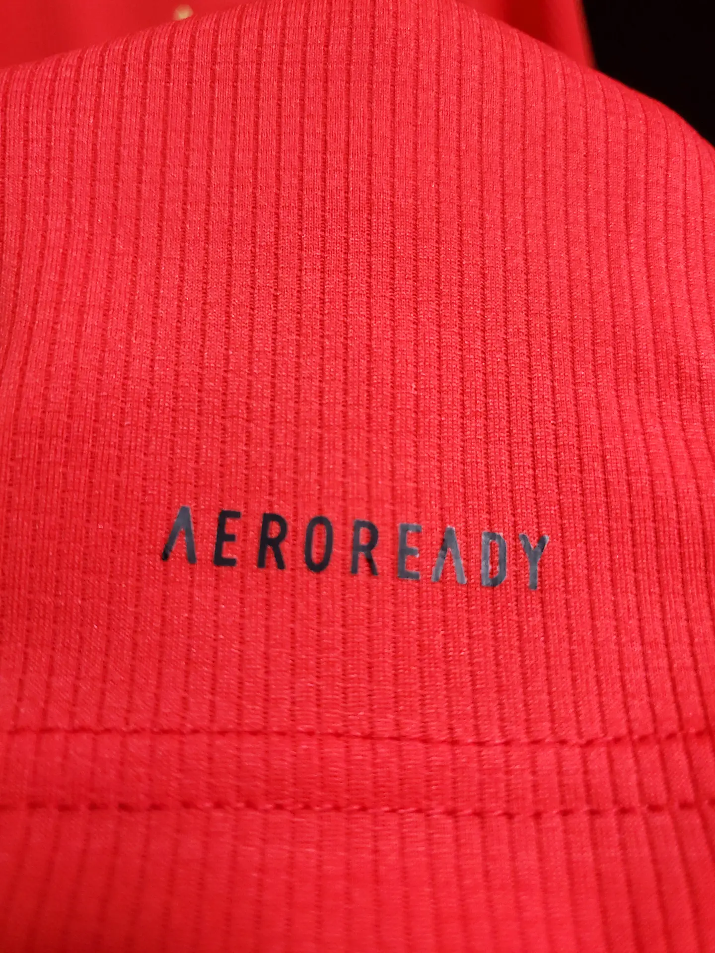 Benfica Equipamento Principal 2020/21 9