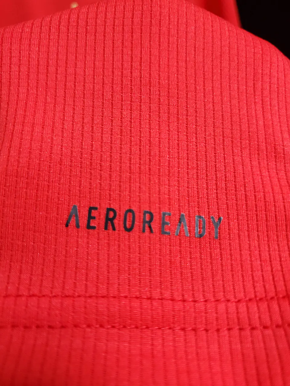 Benfica Equipamento Principal 2020/21 9