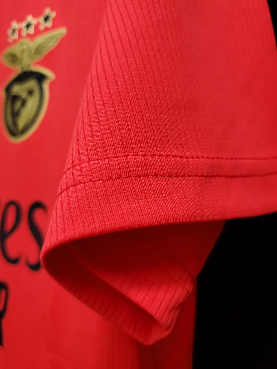 Benfica Equipamento Principal 2020/21 7