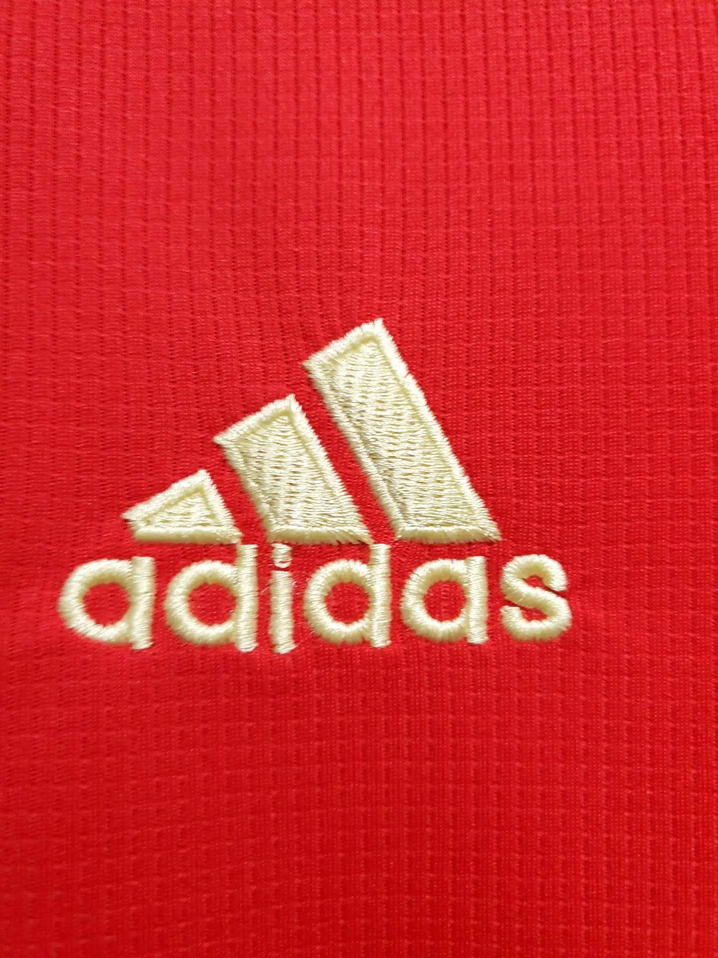 Benfica Equipamento Principal 2020/21 4