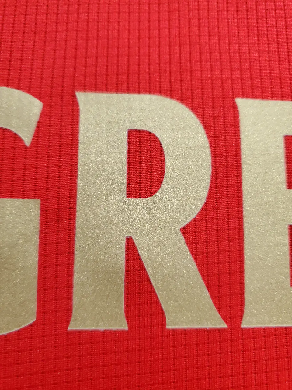 Benfica Equipamento Principal 2020/21 5