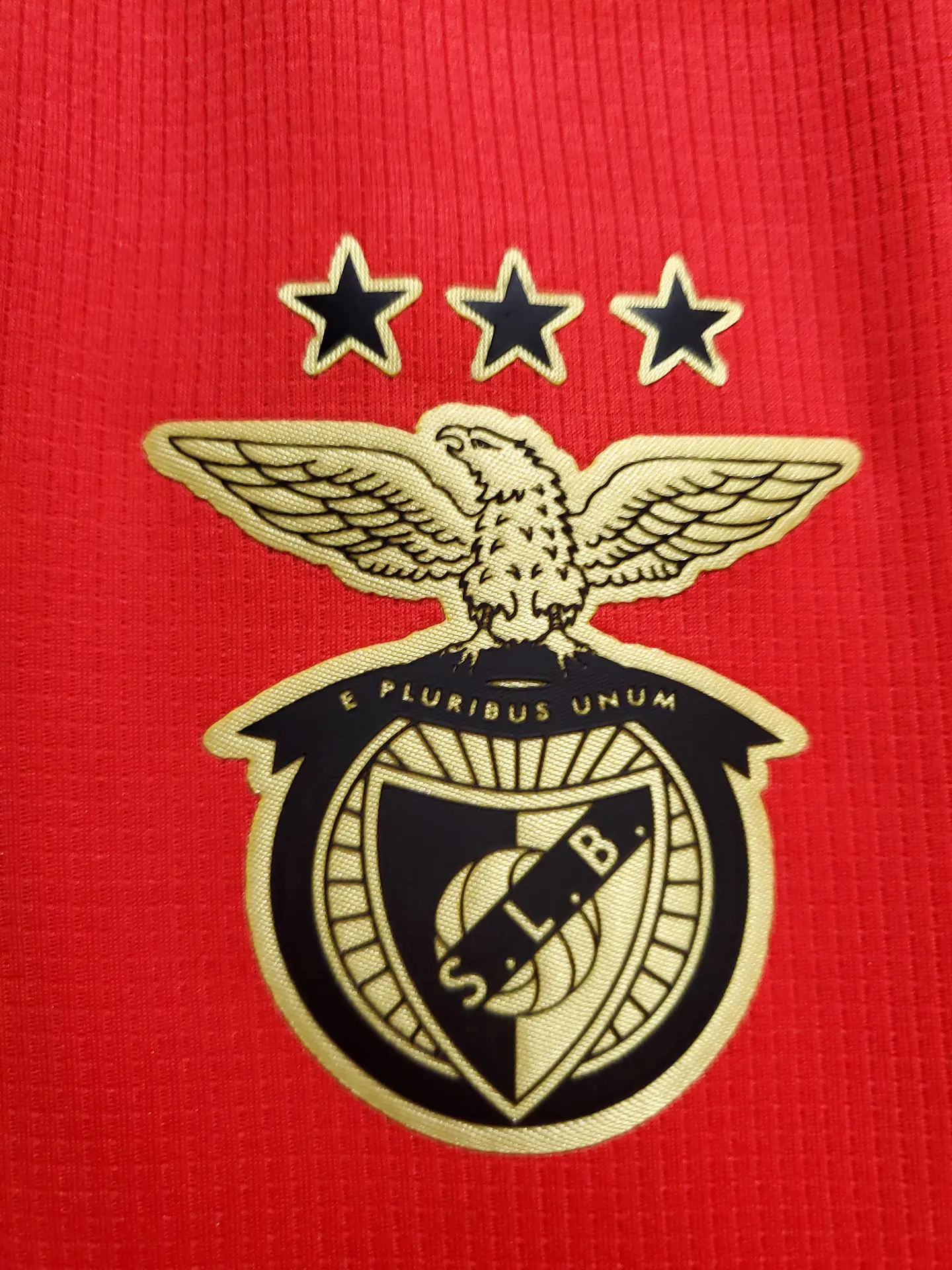 Benfica Equipamento Principal 2020/21 3