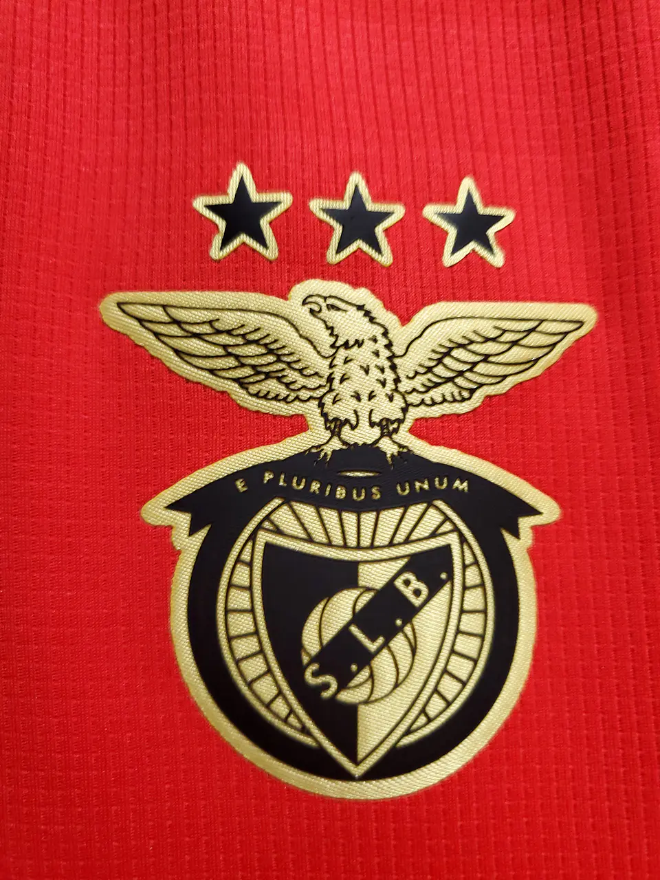 Benfica Equipamento Principal 2020/21 3