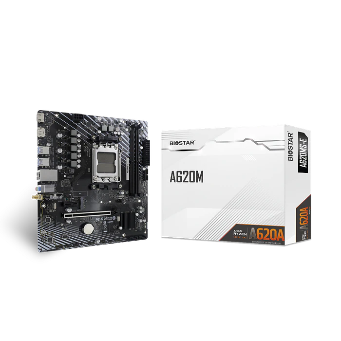 Placa Madre Biostar A620MS-E 1