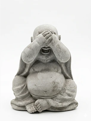 Colección Budas Sabios