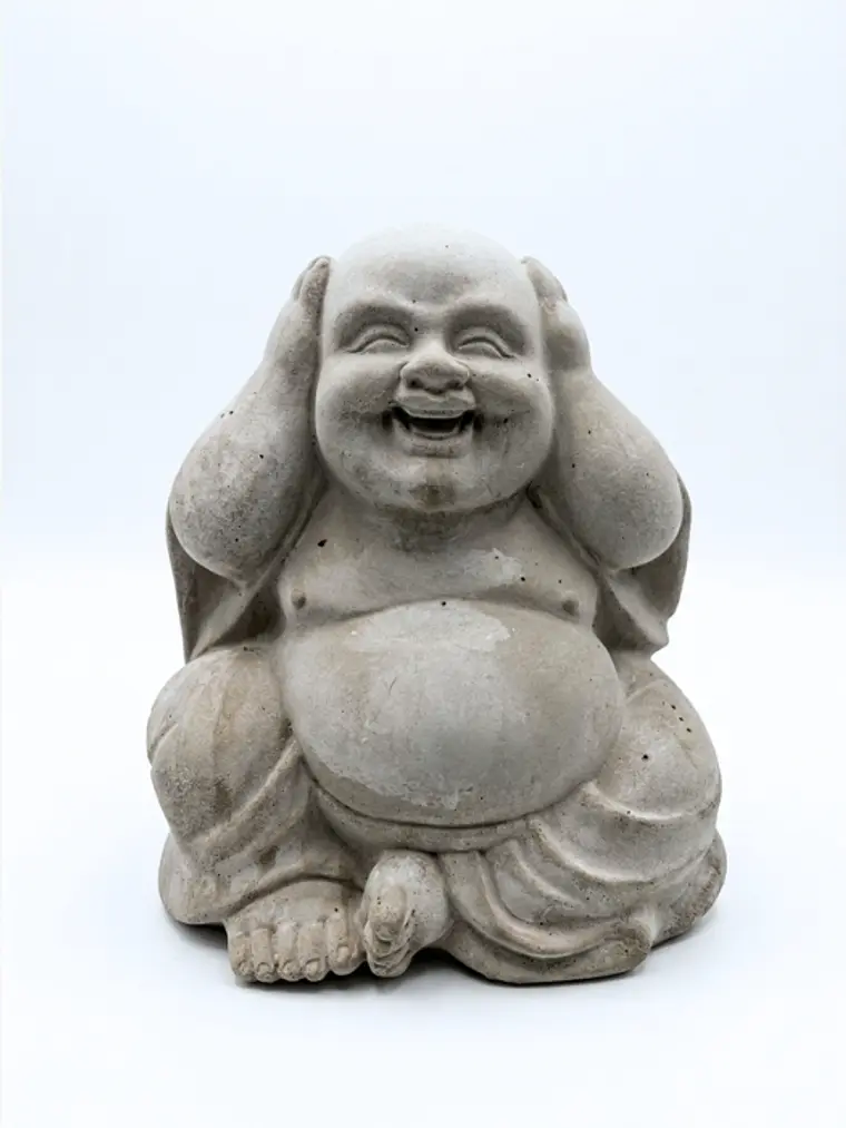 Colección Budas Sabios 3