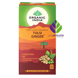 Te Organico Tulsi Ginger Organic India