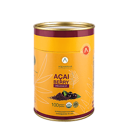 Aquasolar Acai Berry 100 G Polvo 100% Organico