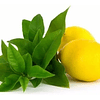 Crema Ducha Extra Suave Verbena Limon Petit Olivier 250 Ml