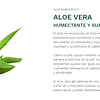 Gel Aloe Vera Organico 300 Ml. Protege E Hidrata La Piel