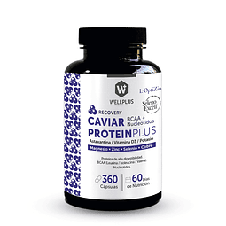 Caviar Protein Plus Bcaa Recuperacion Muscular Wellplus 360