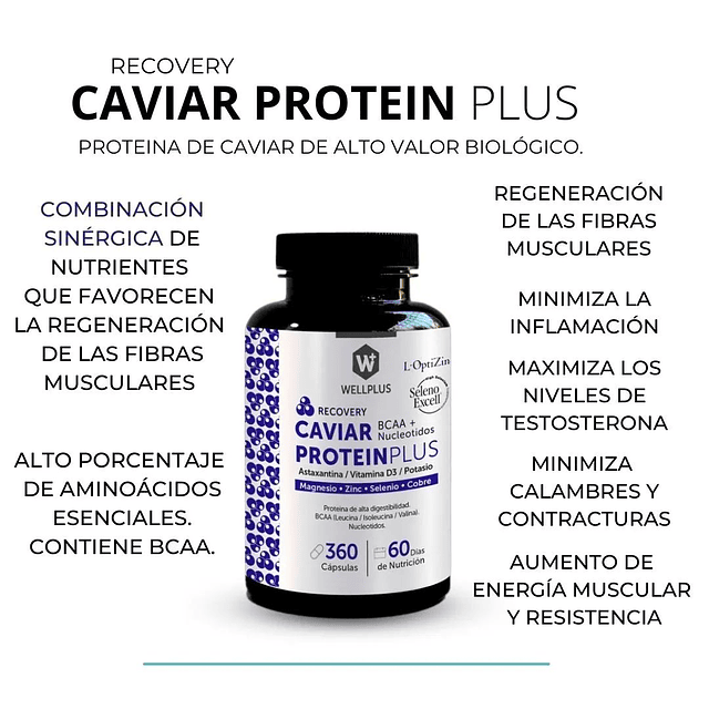 Caviar Protein Plus Bcaa Recuperacion Muscular Wellplus 360