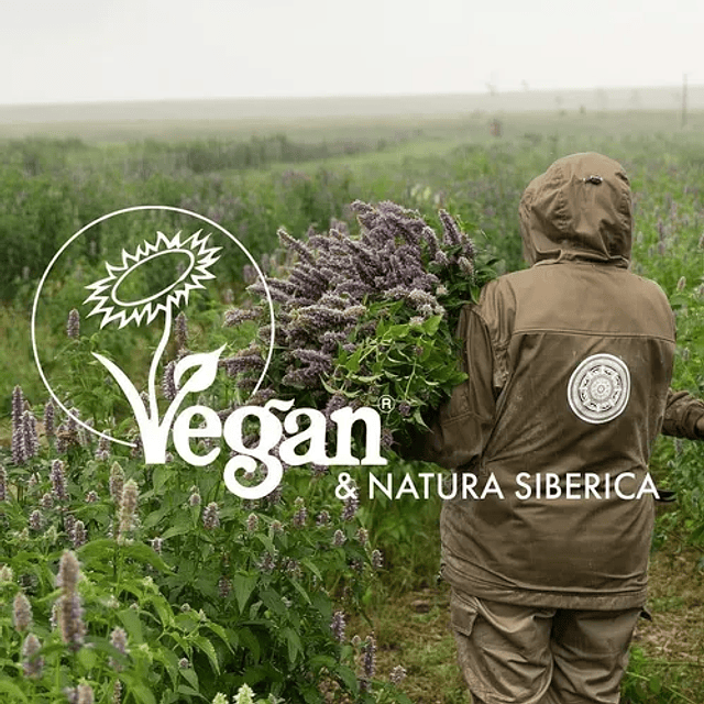 Acondicionador Detox Organics Natura Siberica Volumen 260ml