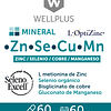 Zinc Selenio Cobre Manganeso 60cap Wellplus Gluten Free