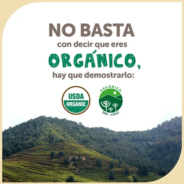 Jugo Manzana Mango Organico Certificado 200 Cc Ama Puro Jugo