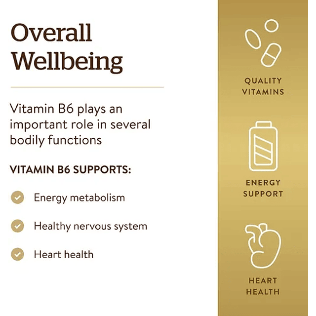 Vitamina B6 50 Mg 100 Comprimidos Solgar Metabolismo Energia