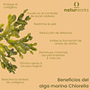 Chlorella 100 Capsulas Vegetal Clorofila Detox Vegan Solgar