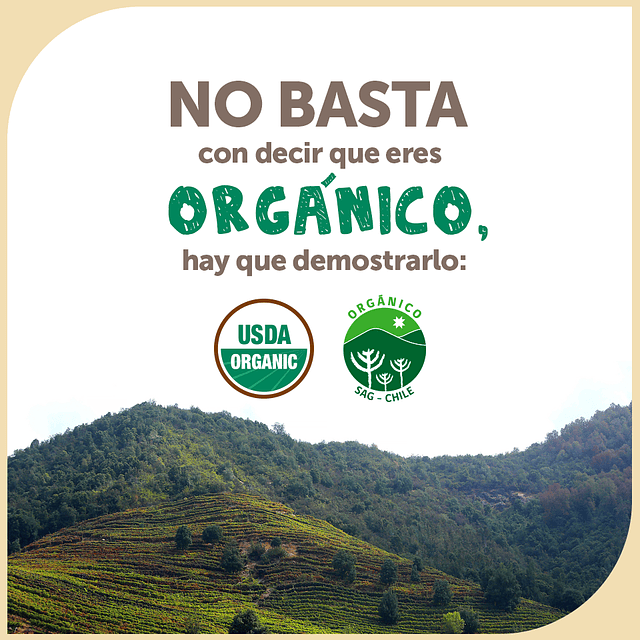 Pure Organico Certificado Sabores 90 Grs Ama Colacion