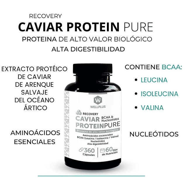 Caviar Protein Pure Bcaa Recuperacion Muscular Wellplus 360
