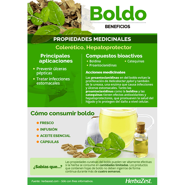 Boldo Infusion Medicinal Natural 20 Unid La Botica Del Alma