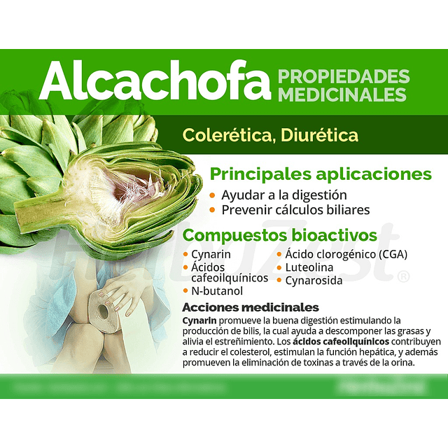 Alcachofa En Capsulas Medicinales 60 Caps La Botica Del Alma