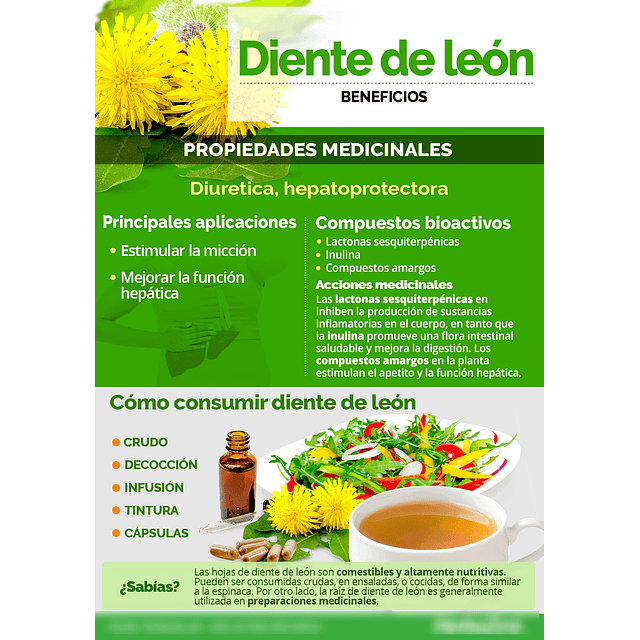 Diente De Leon Capsulas Medicinales 60 Un La Botica Del Alma