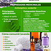 Lavanda En Capsulas Medicinales 60 Caps La Botica Del Alma